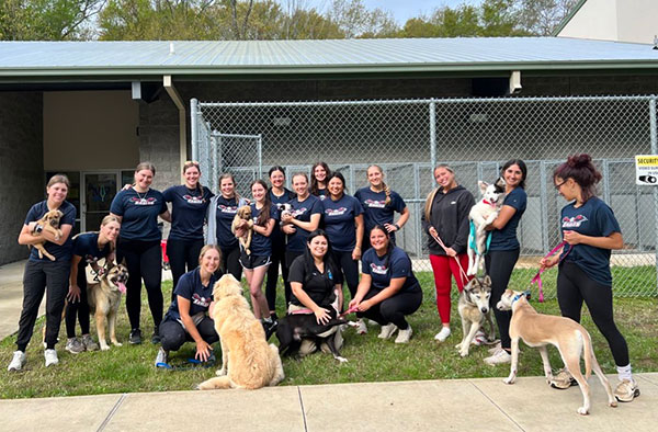 Northeast Texas Community College Softball Team Photo